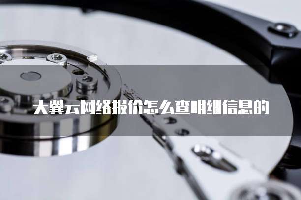 天翼云网络报价怎么查明细信息的