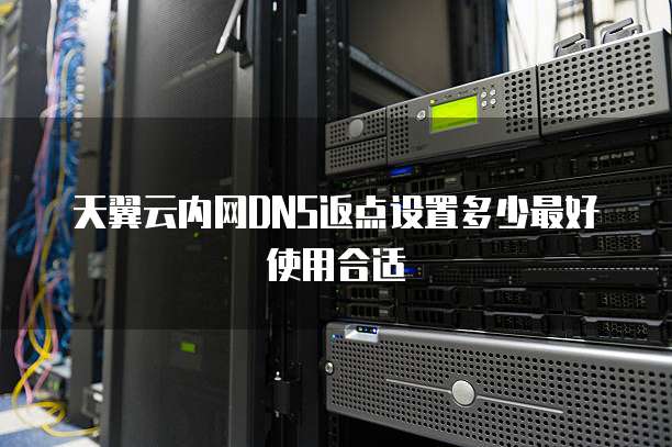 天翼云内网DNS返点设置多少最好使用合适