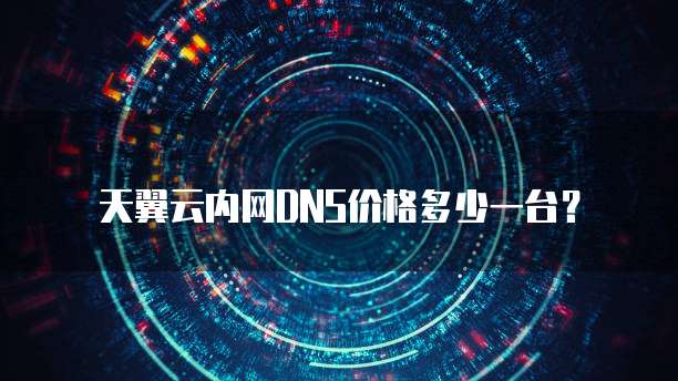 天翼云内网DNS价格多少一台?