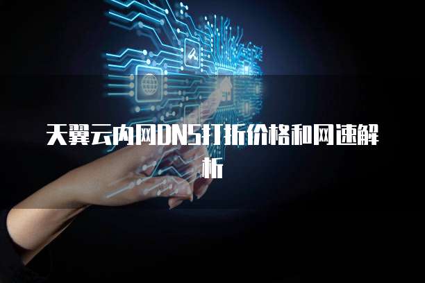 天翼云内网DNS打折价格和网速解析