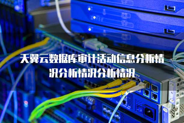 天翼云数据库审计活动信息分析情况分析情况分析情况