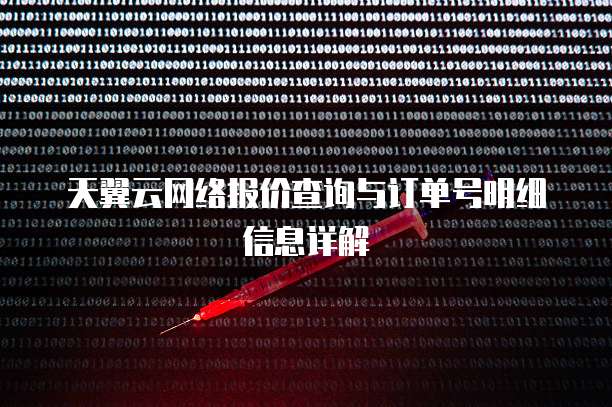 天翼云网络报价查询与订单号明细信息详解