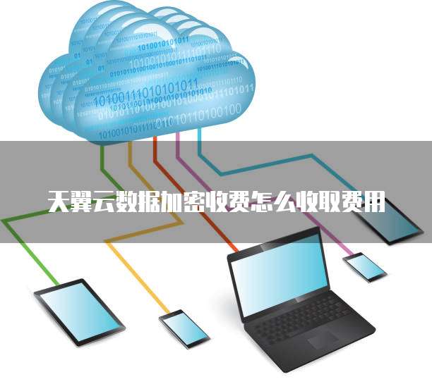 天翼云数据加密收费怎么收取费用