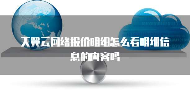 天翼云网络报价明细怎么看明细信息的内容吗