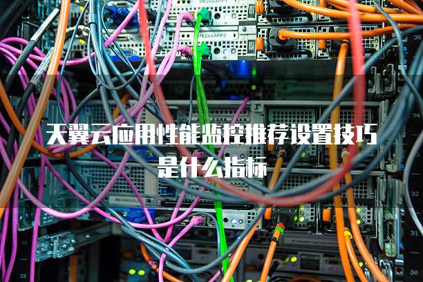 天翼云应用性能监控推荐设置技巧是什么指标