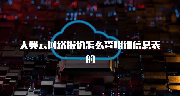 天翼云网络报价怎么查明细信息表的