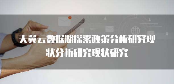 天翼云数据湖探索政策分析研究现状分析研究现状研究