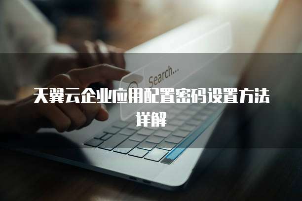 天翼云企业应用配置密码设置方法详解