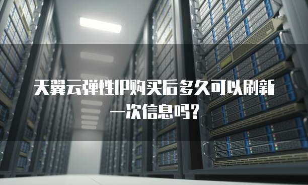 天翼云弹性IP购买后多久可以刷新一次信息吗?
