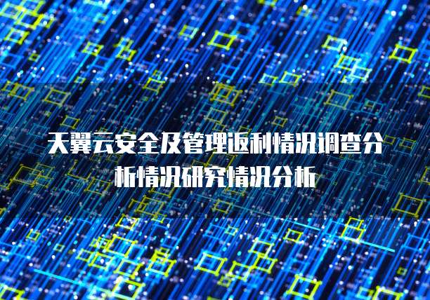 天翼云安全及管理返利情况调查分析情况研究情况分析
