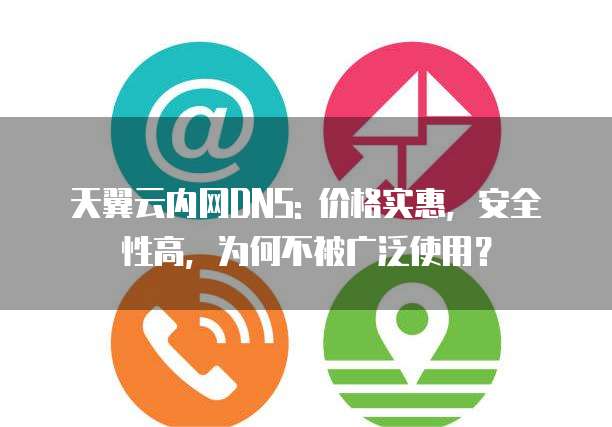天翼云内网DNS: 价格实惠,安全性高,为何不被广泛使用?
