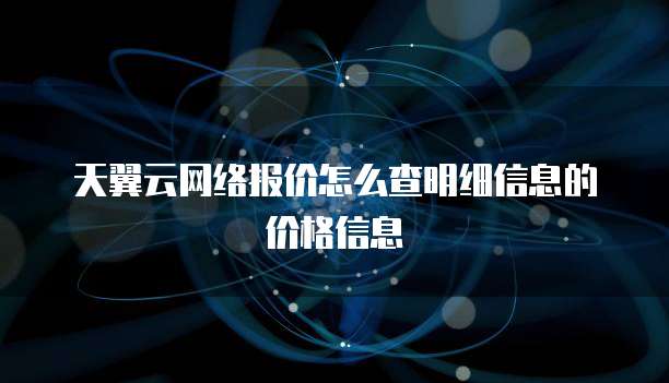 天翼云网络报价怎么查明细信息的价格信息