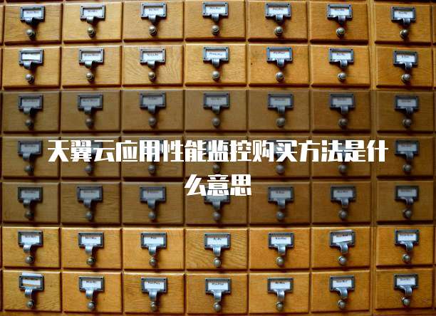 天翼云应用性能监控购买方法是什么意思