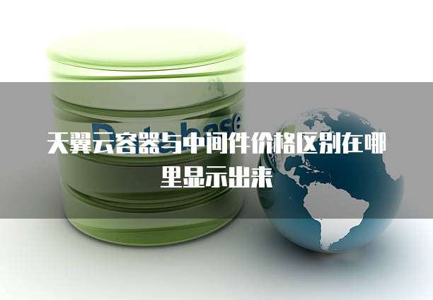 天翼云容器与中间件价格区别在哪里显示出来