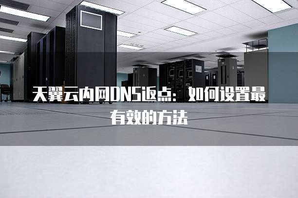 天翼云内网DNS返点:如何设置最有效的方法
