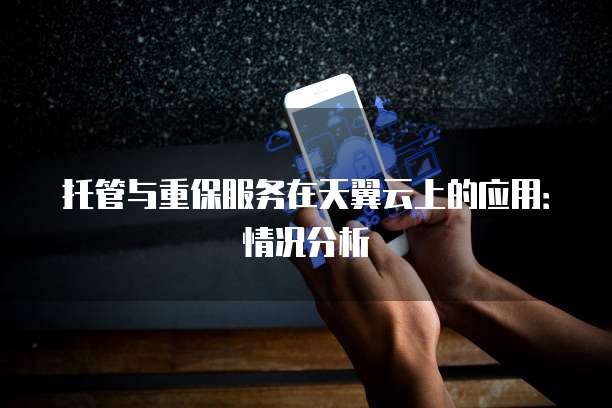托管与重保服务在天翼云上的应用：情况分析