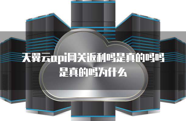 天翼云api网关返利吗是真的吗吗是真的吗为什么