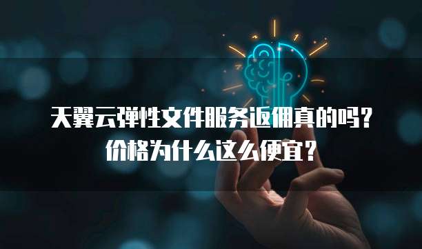 天翼云弹性文件服务返佣真的吗?价格为什么这么便宜?