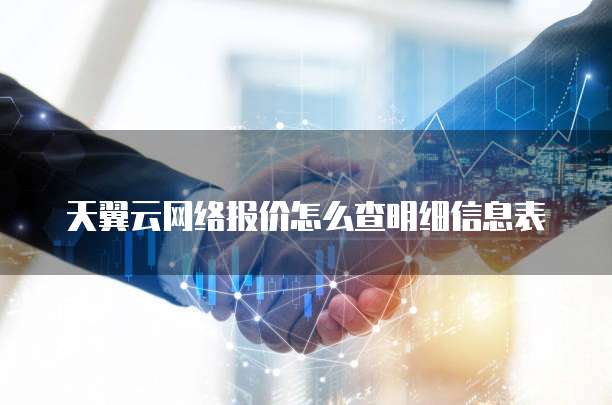 天翼云网络报价怎么查明细信息表