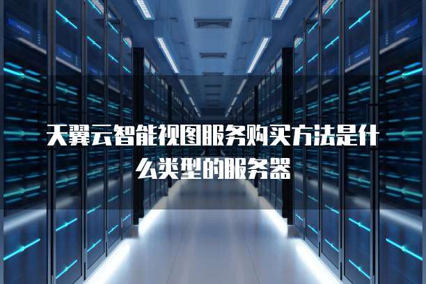 天翼云智能视图服务购买方法是什么类型的服务器