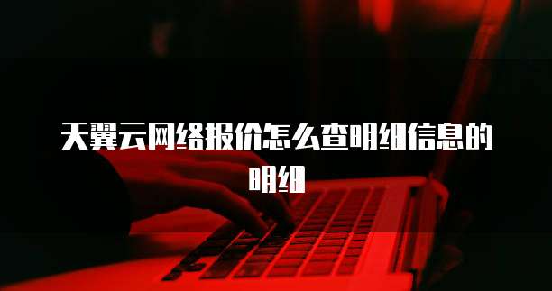 天翼云网络报价怎么查明细信息的明细