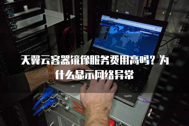 天翼云容器镜像服务费用高吗?为什么显示网络异常