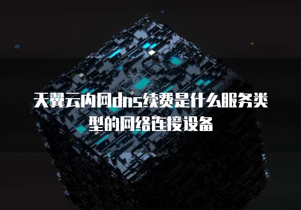 天翼云内网dns续费是什么服务类型的网络连接设备