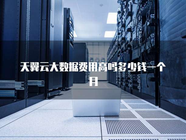 天翼云大数据费用高吗多少钱一个月
