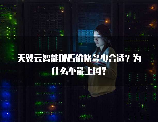天翼云智能DNS价格多少合适?为什么不能上网?