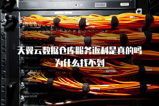 天翼云数据仓库服务返利是真的吗为什么找不到