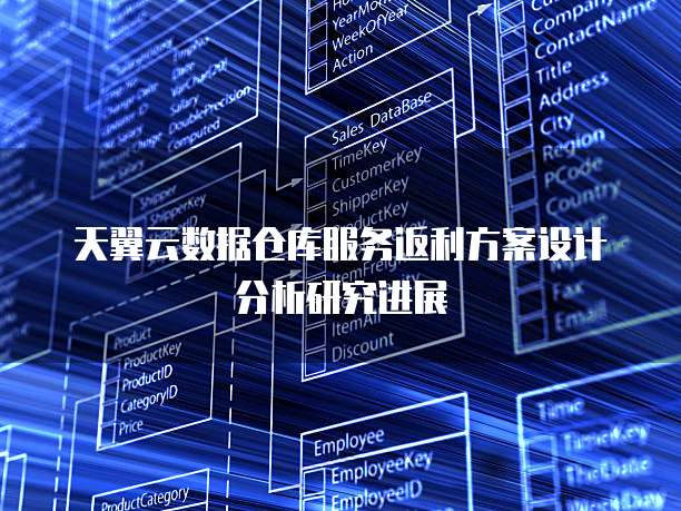 天翼云数据仓库服务返利方案设计分析研究进展