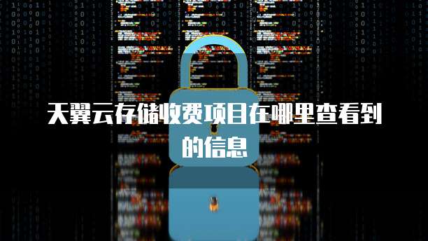 天翼云存储收费项目在哪里查看到的信息