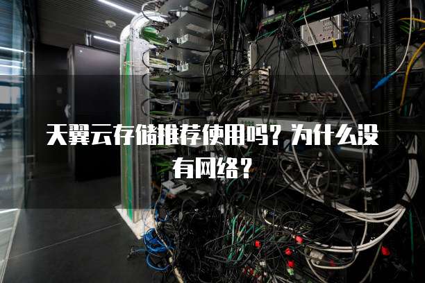 天翼云存储推荐使用吗？为什么没有网络？