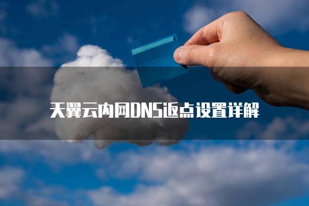 天翼云内网DNS返点设置详解