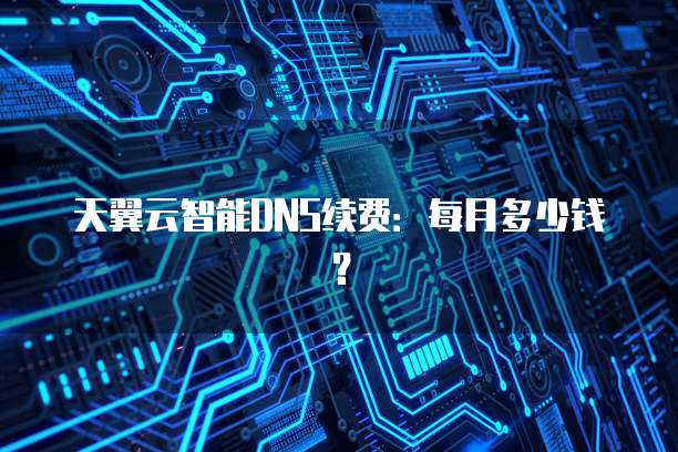 天翼云智能DNS续费:每月多少钱?