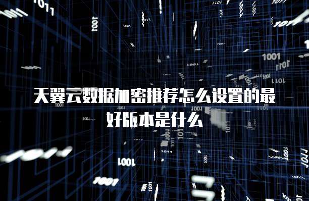 天翼云数据加密推荐怎么设置的最好版本是什么