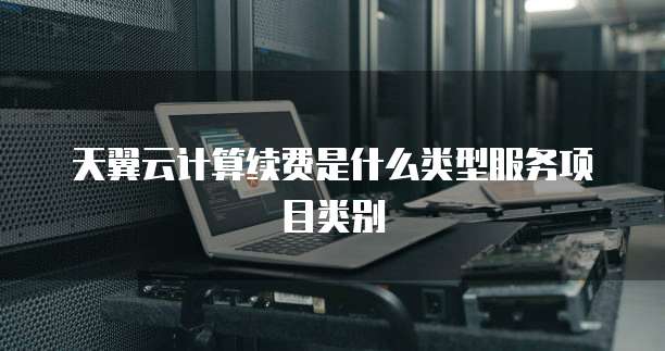 天翼云计算续费是什么类型服务项目类别