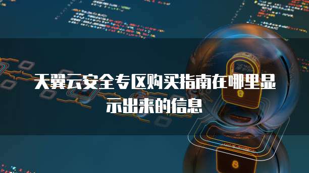 天翼云安全专区购买指南在哪里显示出来的信息