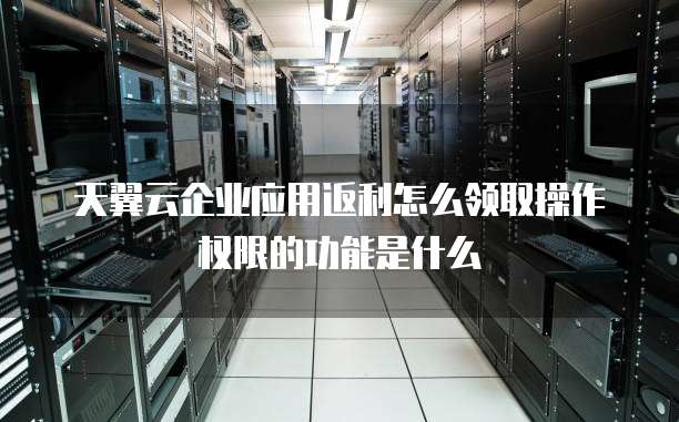 天翼云企业应用返利怎么领取操作权限的功能是什么