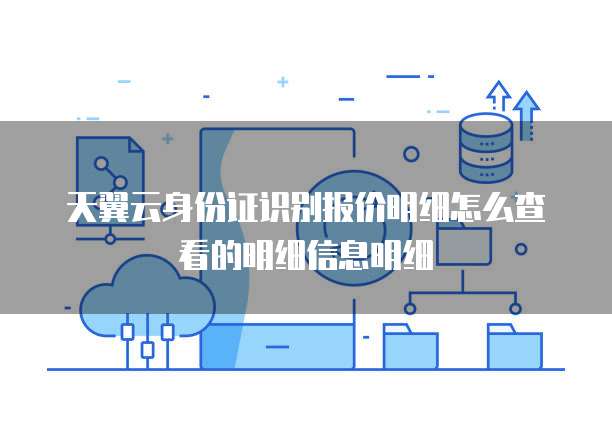 天翼云身份证识别报价明细怎么查看的明细信息明细