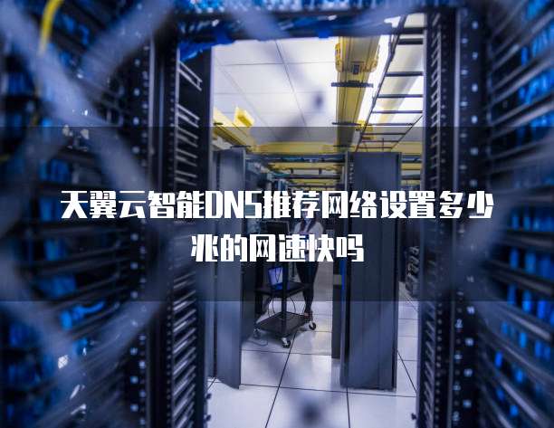 天翼云智能DNS推荐网络设置多少兆的网速快吗