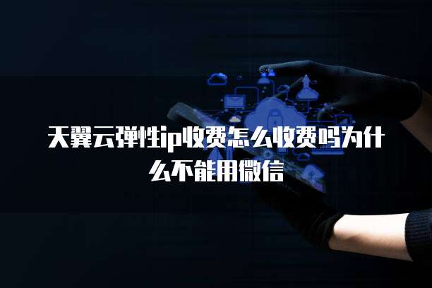 天翼云弹性ip收费怎么收费吗为什么不能用微信