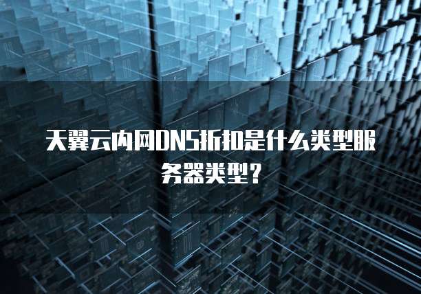 天翼云内网DNS折扣是什么类型服务器类型?