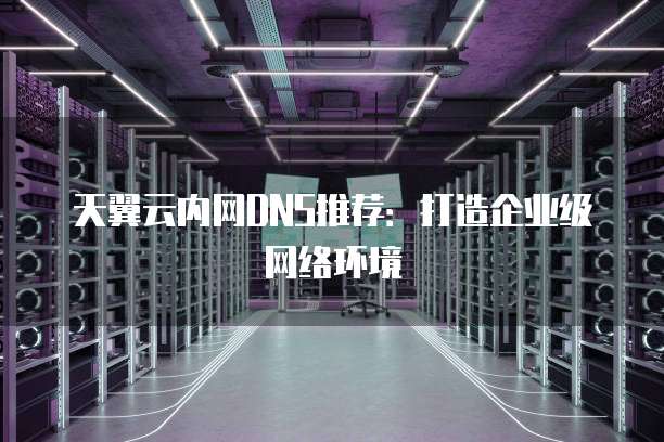 天翼云内网DNS推荐:打造企业级网络环境