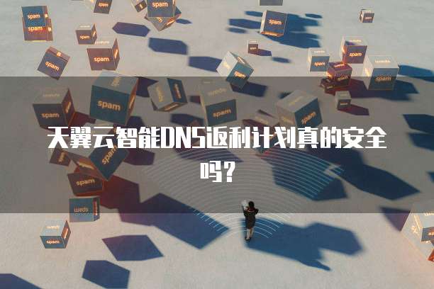 天翼云智能DNS返利计划真的安全吗?