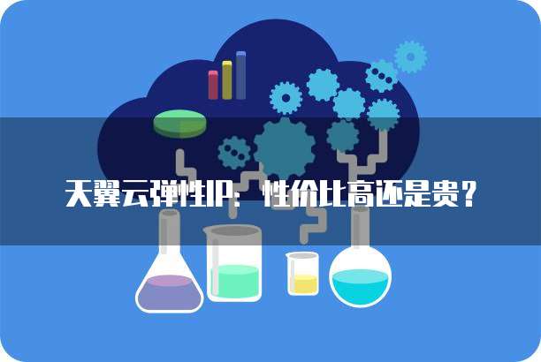天翼云弹性IP:性价比高还是贵?
