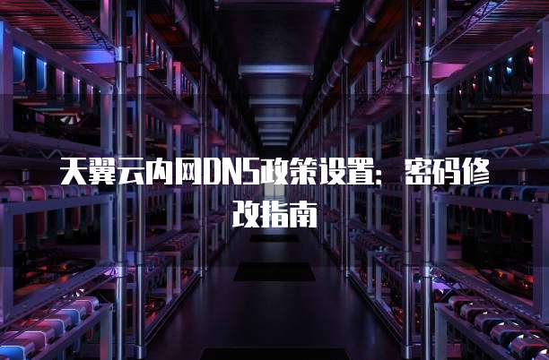 天翼云内网DNS政策设置：密码修改指南