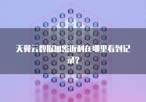 天翼云数据加密返利在哪里看到记录?