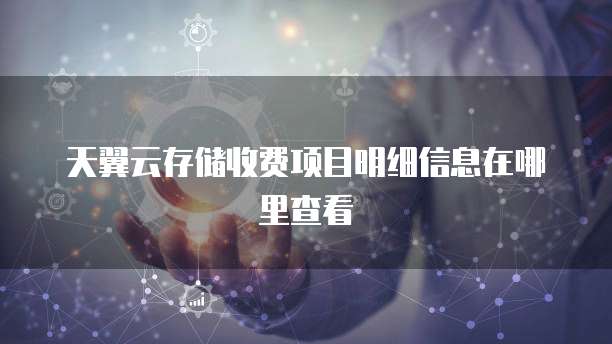 天翼云存储收费项目明细信息在哪里查看