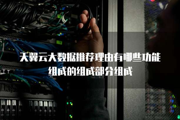 天翼云大数据推荐理由有哪些功能组成的组成部分组成